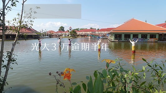 光大3万逾期半年