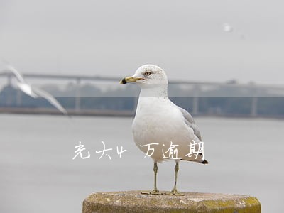 光大4万逾期 光大4万逾期