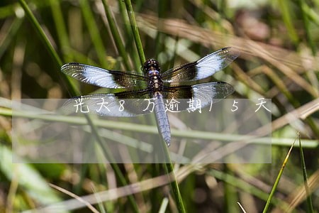光大8万逾期15天 光大8万逾期15天