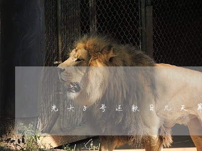 光大8号还款日几天算逾期 光大8号还款日几天算逾期