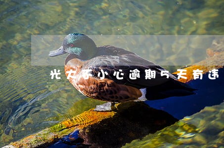 光大不小心逾期5天有违约金 光大不小心逾期5天有违约金