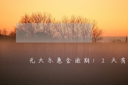 光大乐惠金逾期12天有什么后果 光大乐惠金逾期12天有什么后果