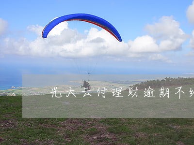 光大云付理财逾期不给利息 光大云付理财逾期不给利息