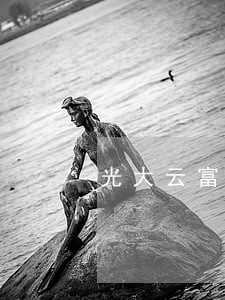 光大云富理财逾期