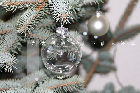 光大保险贷能不能只还本金