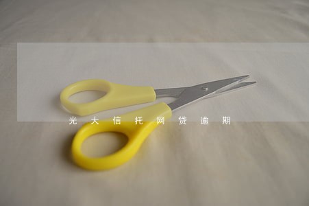 光大信托网贷逾期 光大信托网贷逾期