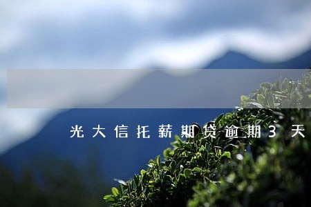 光大信托薪期贷逾期3天上海 光大信托薪期贷逾期3天上海