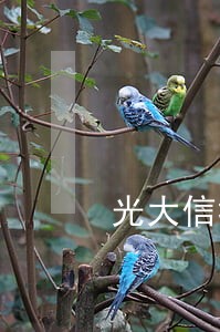 光大信托逾期1天 光大信托逾期1天