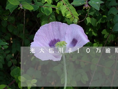 光大信用卡10万逾期 光大信用卡10万逾期