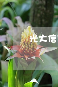光大信用卡1万5逾期1年