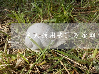 光大信用卡1万逾期半年