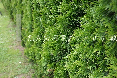 光大信用卡20000额度逾期 光大信用卡20000额度逾期