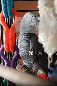 光大信用卡2万逾期二年了 光大信用卡2万逾期二年了