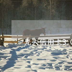 光大信用卡3000逾期半个月