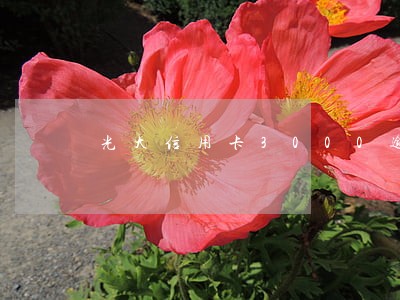 光大信用卡3000逾期后果 光大信用卡3000逾期后果