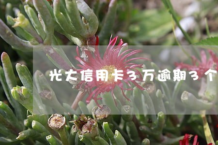 光大信用卡3万逾期3个月 光大信用卡3万逾期3个月