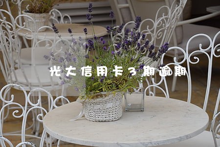 光大信用卡3期逾期 光大信用卡3期逾期