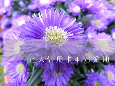 光大信用卡4万逾期 光大信用卡4万逾期