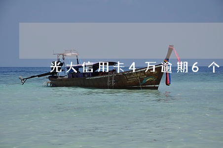 光大信用卡4万逾期6个月 光大信用卡4万逾期6个月