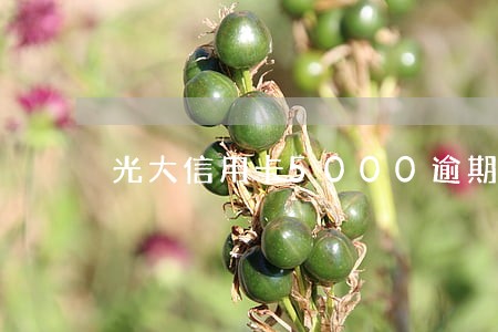 光大信用卡5000逾期一年 光大信用卡5000逾期一年