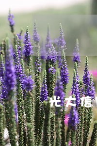 光大信用卡5万逾期 光大信用卡5万逾期
