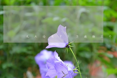 光大信用卡7万逾期三个月 光大信用卡7万逾期三个月