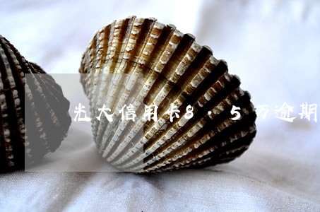 光大信用卡8.5万逾期 光大信用卡8.5万逾期