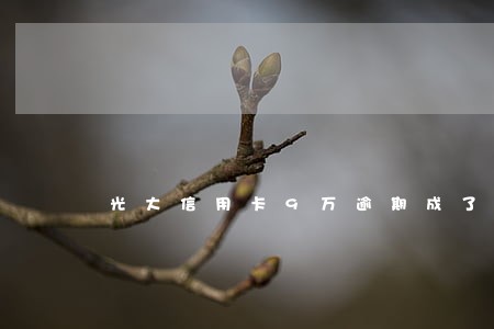 光大信用卡9万逾期成了13万 光大信用卡9万逾期成了13万