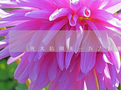 光大信用卡一万2逾期备案通知 光大信用卡一万2逾期备案通知