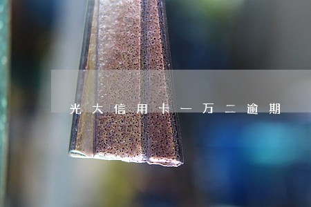 光大信用卡一万二逾期 光大信用卡一万二逾期
