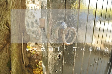 光大信用卡一万八逾期会怎样 光大信用卡一万八逾期会怎样