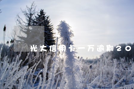 光大信用卡一万逾期20天 光大信用卡一万逾期20天