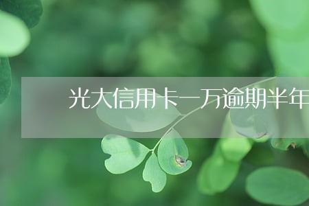 光大信用卡一万逾期半年