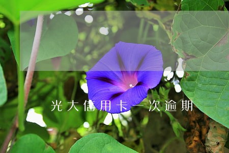 光大信用卡一次逾期 光大信用卡一次逾期