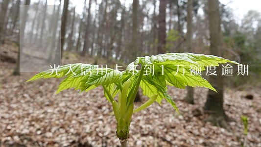 光大信用卡不到1万额度逾期 光大信用卡不到1万额度逾期