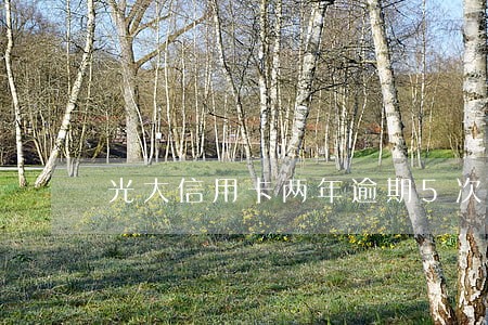 光大信用卡两年逾期5次 光大信用卡两年逾期5次