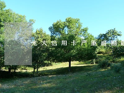 光大信用卡严重逾期最后通告