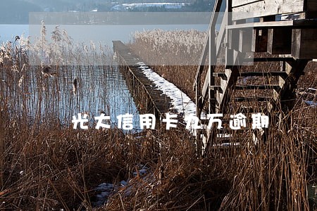 光大信用卡九万逾期 光大信用卡九万逾期
