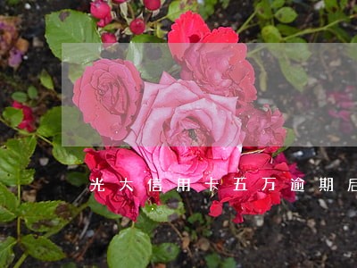光大信用卡五万逾期后果