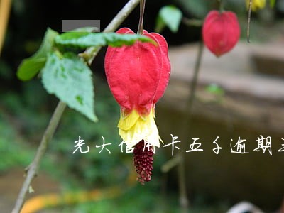 光大信用卡五千逾期三期 光大信用卡五千逾期三期