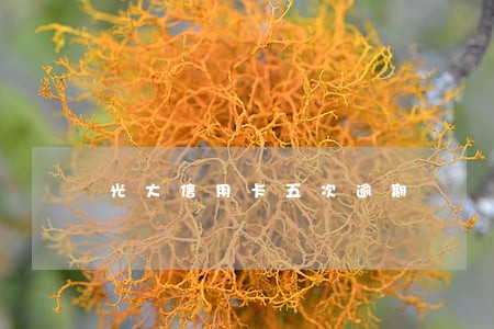 光大信用卡五次逾期 光大信用卡五次逾期
