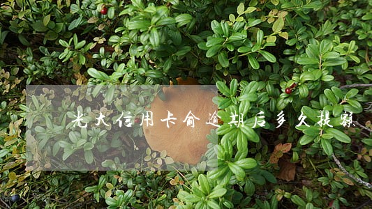 光大信用卡俞逾期后多久提额 光大信用卡俞逾期后多久提额