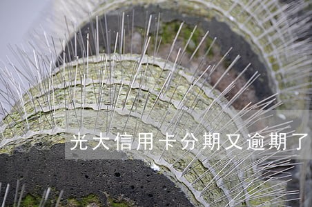 光大信用卡分期又逾期了怎么办