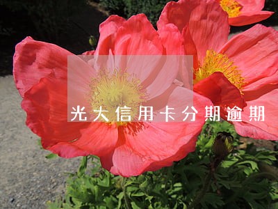 光大信用卡分期逾期 光大信用卡分期逾期