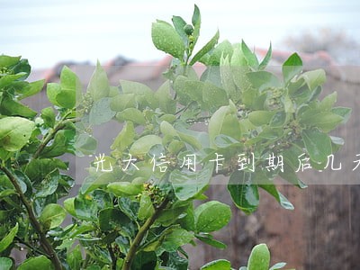 光大信用卡到期后几天不算逾期 光大信用卡到期后几天不算逾期