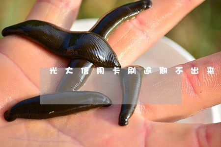 光大信用卡刷逾期不出来 光大信用卡刷逾期不出来