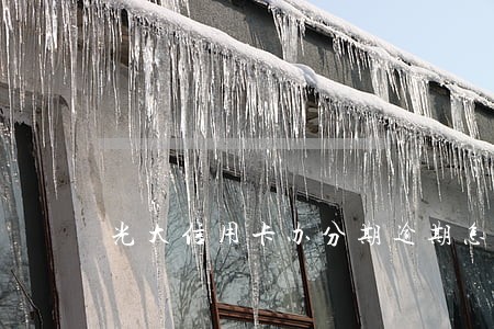 光大信用卡办分期逾期怎么办