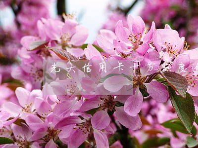 光大信用卡十万额度逾期