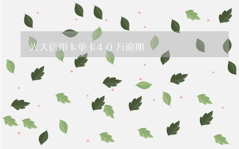 光大信用卡单卡40万逾期 光大信用卡单卡40万逾期