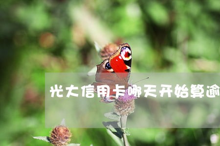 光大信用卡哪天开始算逾期 光大信用卡哪天开始算逾期